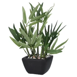 Bambus Im Topf, Grün, 26 Cm