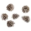 6er Set Tannenzapfen Metallic, Champagner