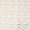Geschenkpapier Prägung, Sterne/creme, 2 M