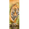 Jumboposter Big Tiger Walking, Nr. 33