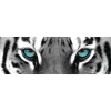 Jumboposter Blue Tiger Eyes, Nr. 16