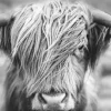 Jumboposter Highlander Landscape, Nr. 38