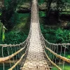 Jumboposter Jungle Bridge, Nr. 37