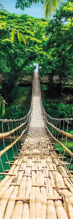 Jumboposter Jungle Bridge, Nr. 37