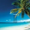 Poster Beach - Morning, Nr. 67
