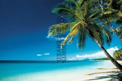 Poster Beach - Morning, Nr. 67