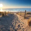 Poster Dune Path, Nr. 88