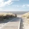 Poster Dunes, Nr. 158