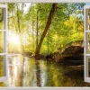 Poster Forest Window, Nr. 138
