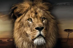 Poster Lion Design, Nr. 188