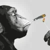 Poster Monkey Joint Time, Nr. 226