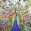 Poster Pfau, Nr. 231