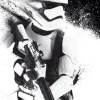 Poster Star Wars Stormtrooper, Nr. 119