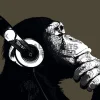 Poster The Chimp - Stereo, Nr. 155