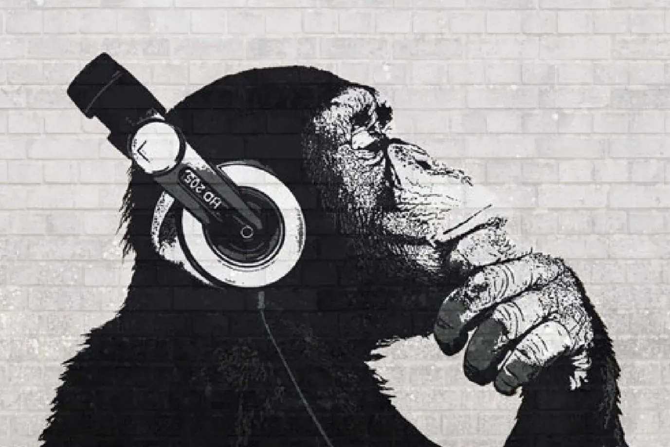 Poster The Chimp Stereo - Wall, Nr. 228