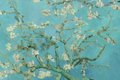 Poster Van Gogh Amandelbloesem, Nr. 71