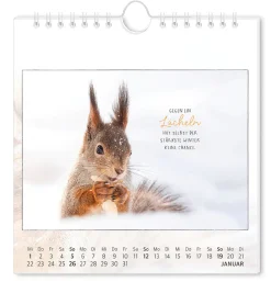 Postkarten Kalender, 2025,Traumtage