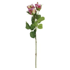Rose Alina, 3 Blüten/lila, 38 Cm