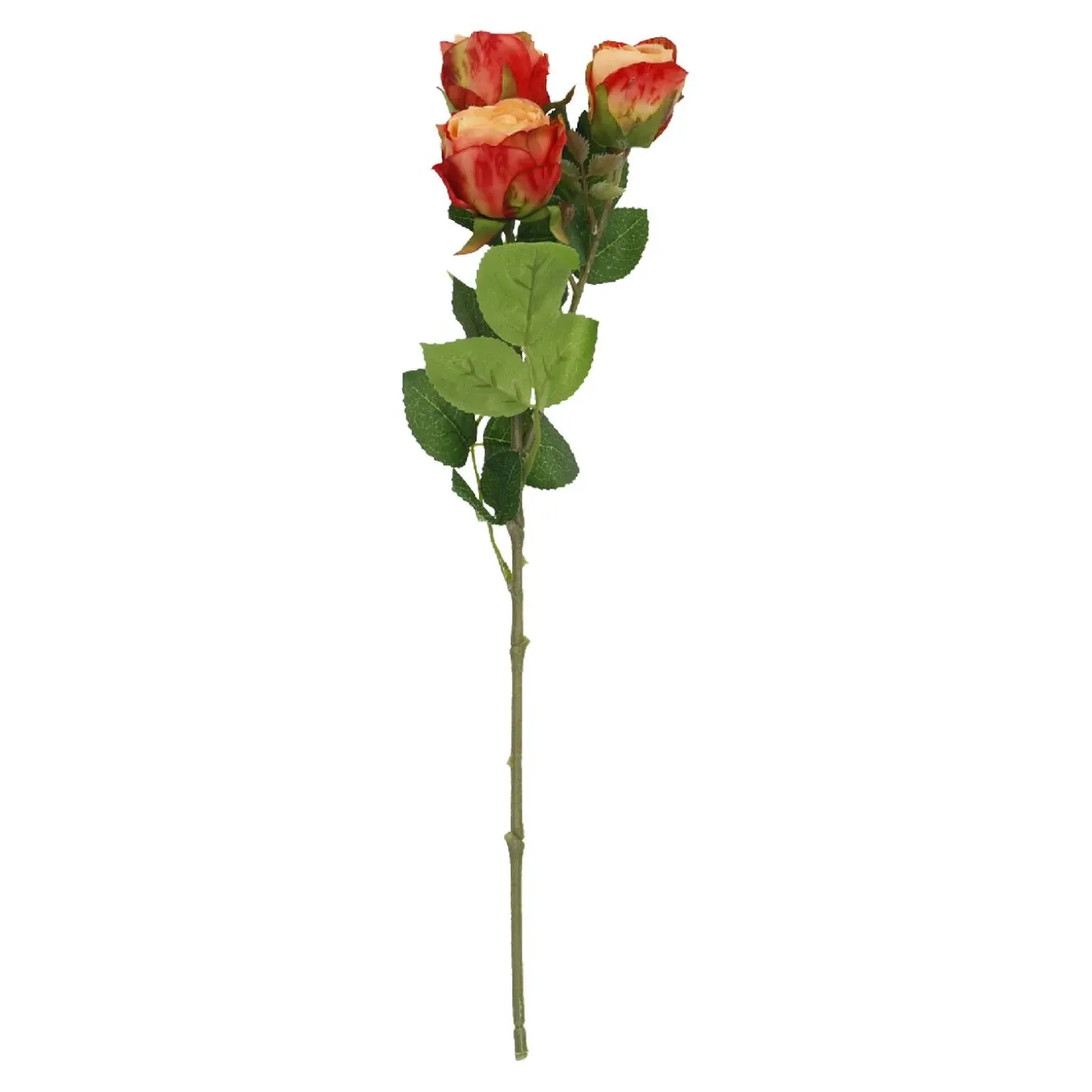 Rose Alina, 3 Blüten/orange, 38 Cm