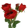 Rose Alina, 3 Blüten/rot, 38 Cm