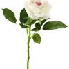 Rose, 30 Cm, Hell-pink