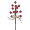 Stecker Beeren/Eis, Fein