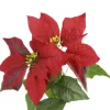 Weihnachtsstern 2 Blüten/rot, 31 Cm