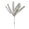 Zweig Tanne, Schnee, 33 Cm